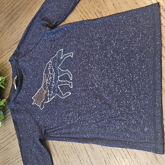 Kids Blue Wolf Graphic Long Sleeve Shirt Size M 8-10 - Picture 1 of 10